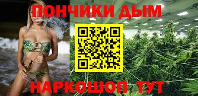 прущие крисы Шелехов