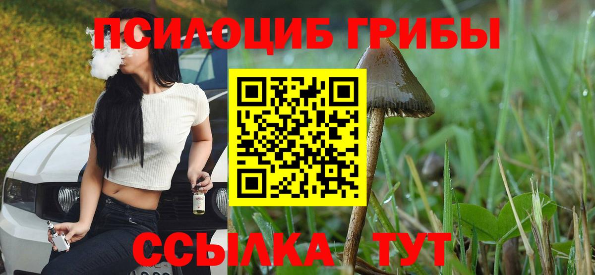 Галлюциногенные грибы мухоморы Белебей