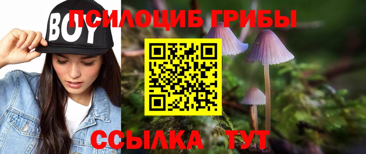 Галлюциногенные грибы Psilocybe  Вход с VPN  Белебей  наркотики  Галлюциногенные грибы прущие грибы 